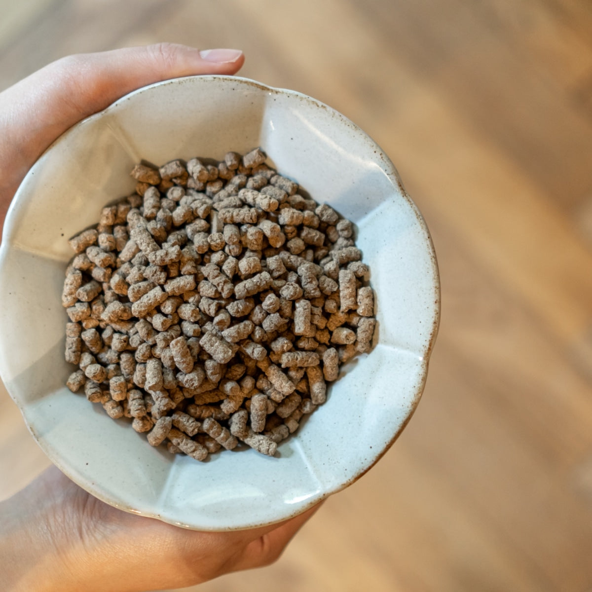 【Hoippo ホイッポ】低温製法DOG FOOD Chicken 緑イ貝エキス 800g チキン 国産鶏 鶏肉 国産原料