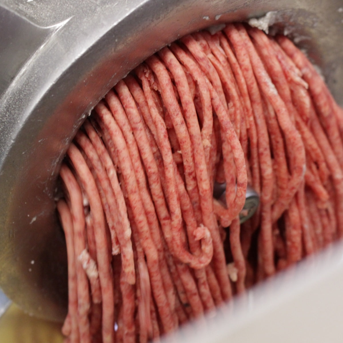 【Hoippo ホイッポ】低温製法DOG FOOD Chicken 緑イ貝エキス 800g チキン 国産鶏 鶏肉 国産原料