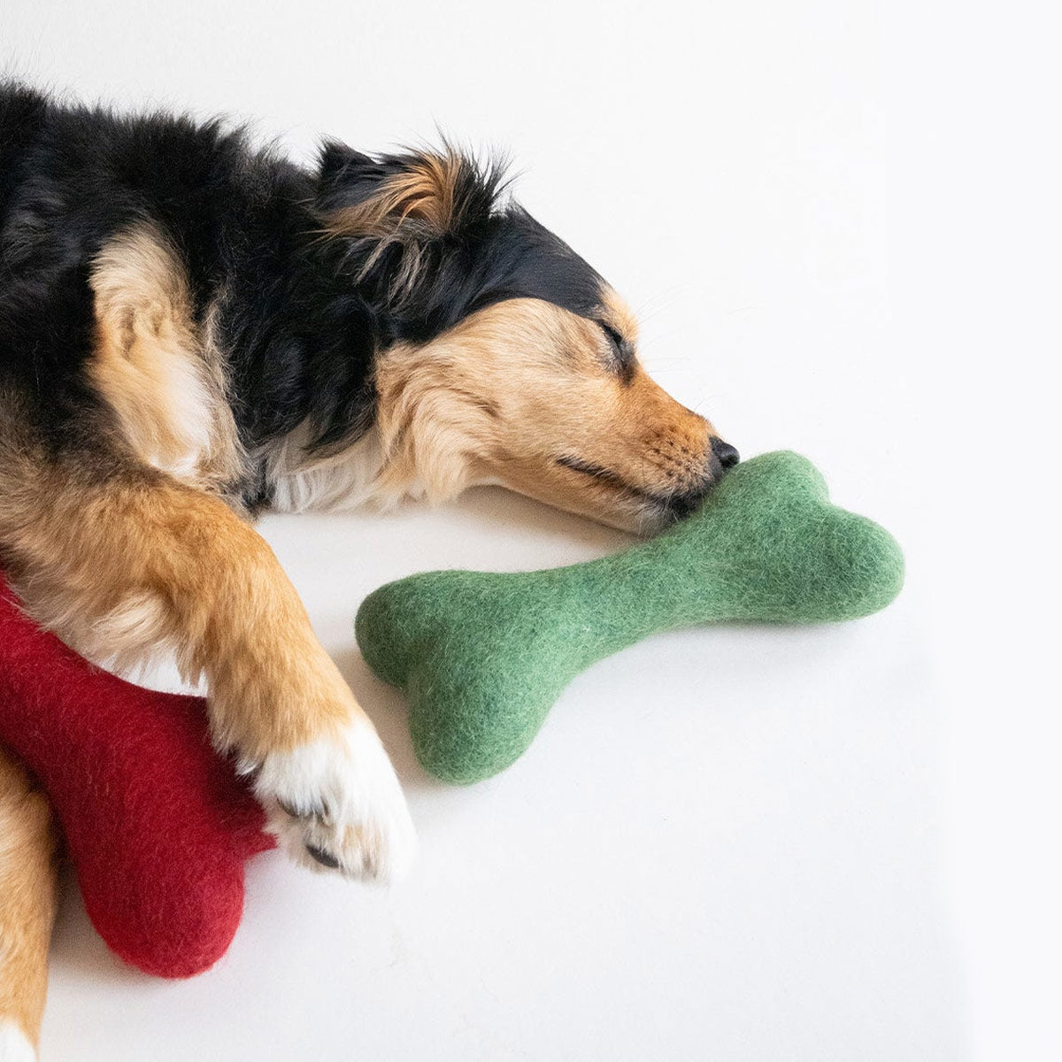 【MODERNBEAST モダンビースト】ウールボーン Lサイズ 3カラー