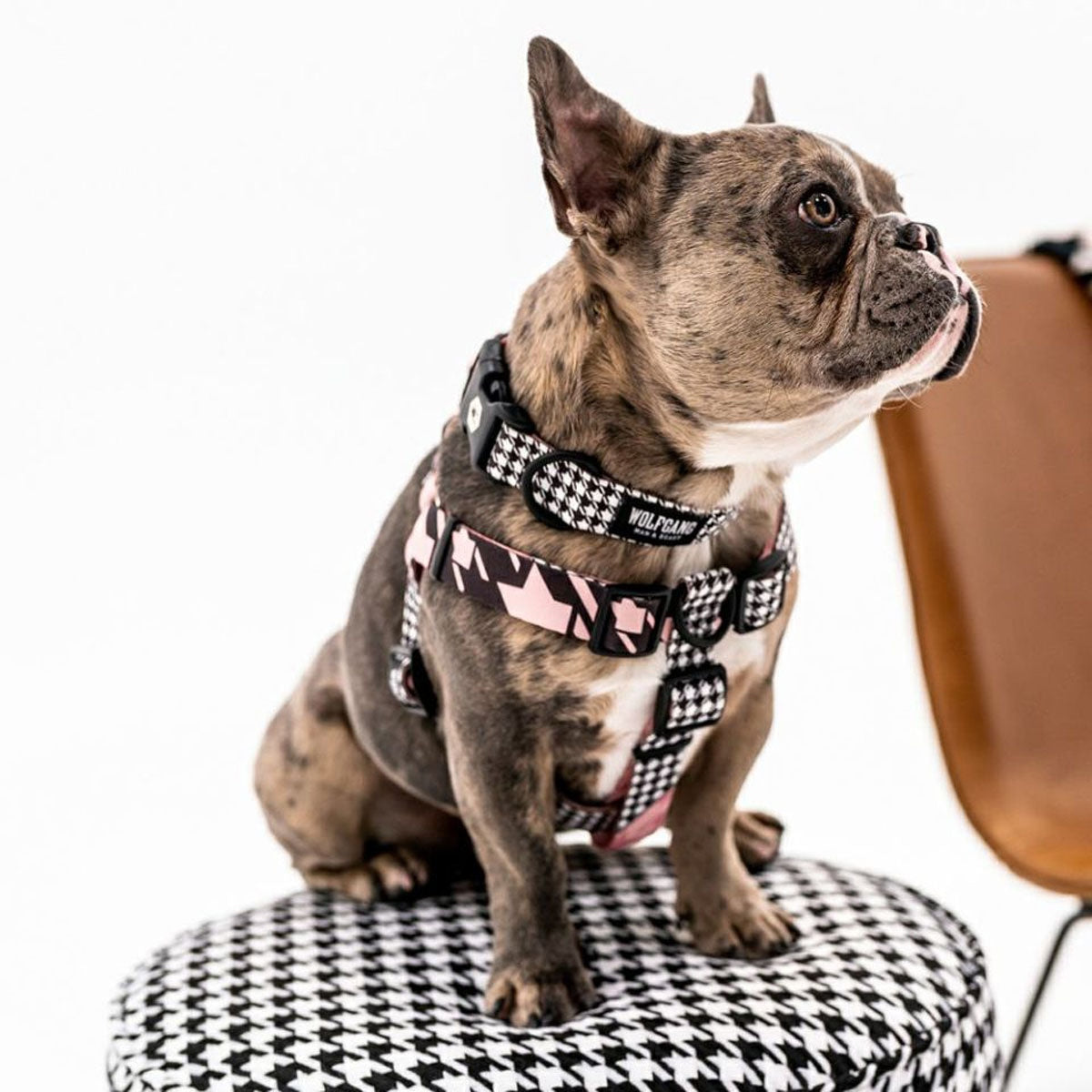 【WOLFGANG MAN & BEAST ウルフギャング マン&ビースト】ハーネス HoundsPink Lサイズ