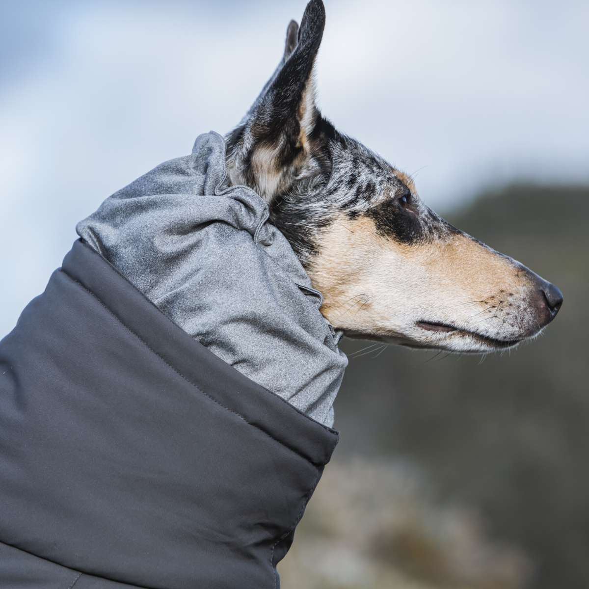 【Hurtta フルッタ】エクストリームオーバーオール 25S/30S/30M