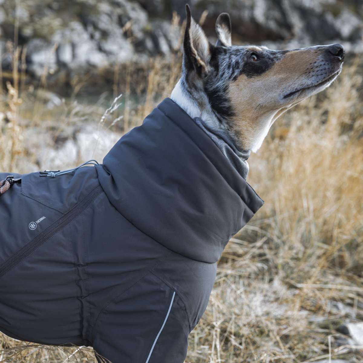 【Hurtta フルッタ】エクストリームオーバーオール 25S/30S/30M