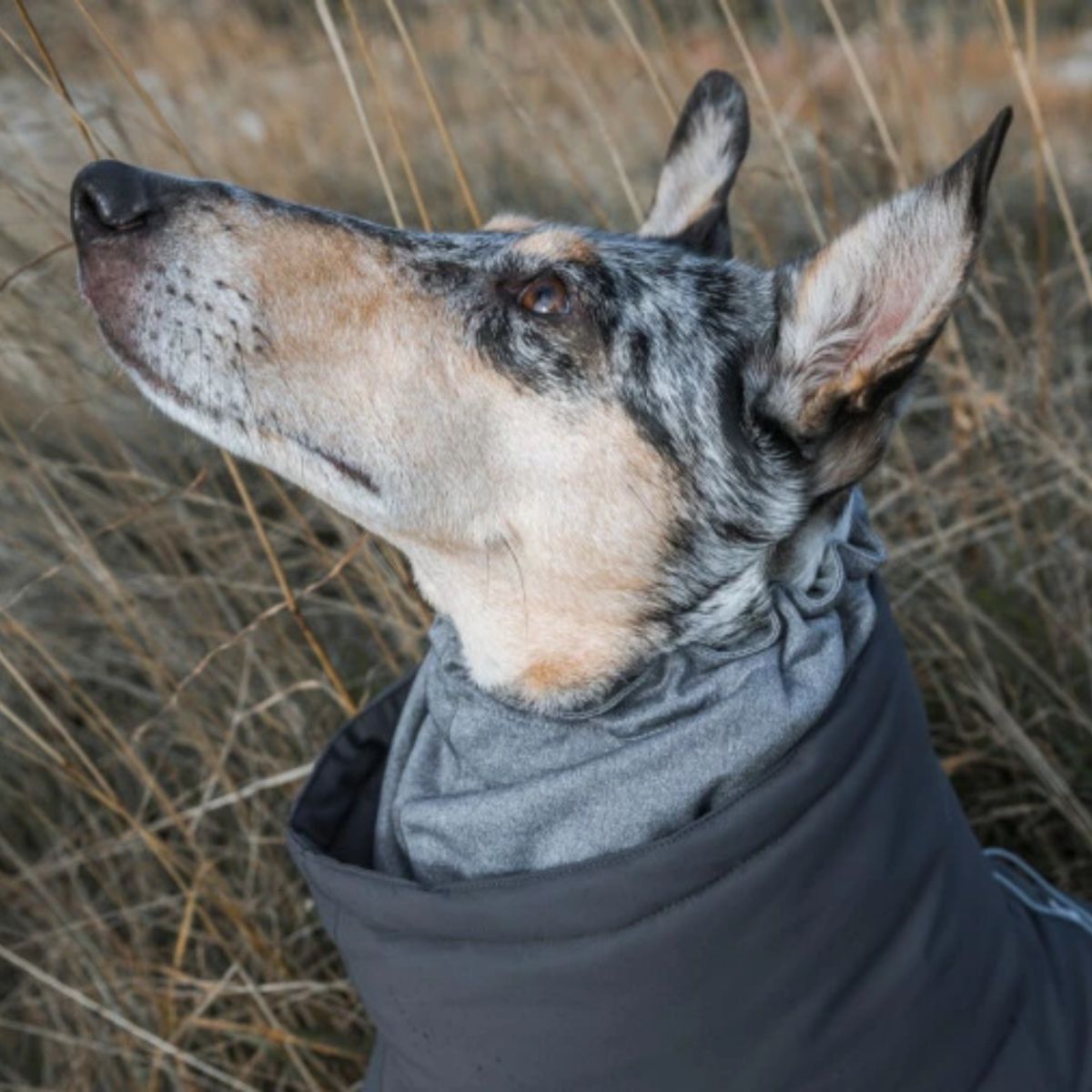 【Hurtta フルッタ】エクストリームオーバーオール 25S/30S/30M