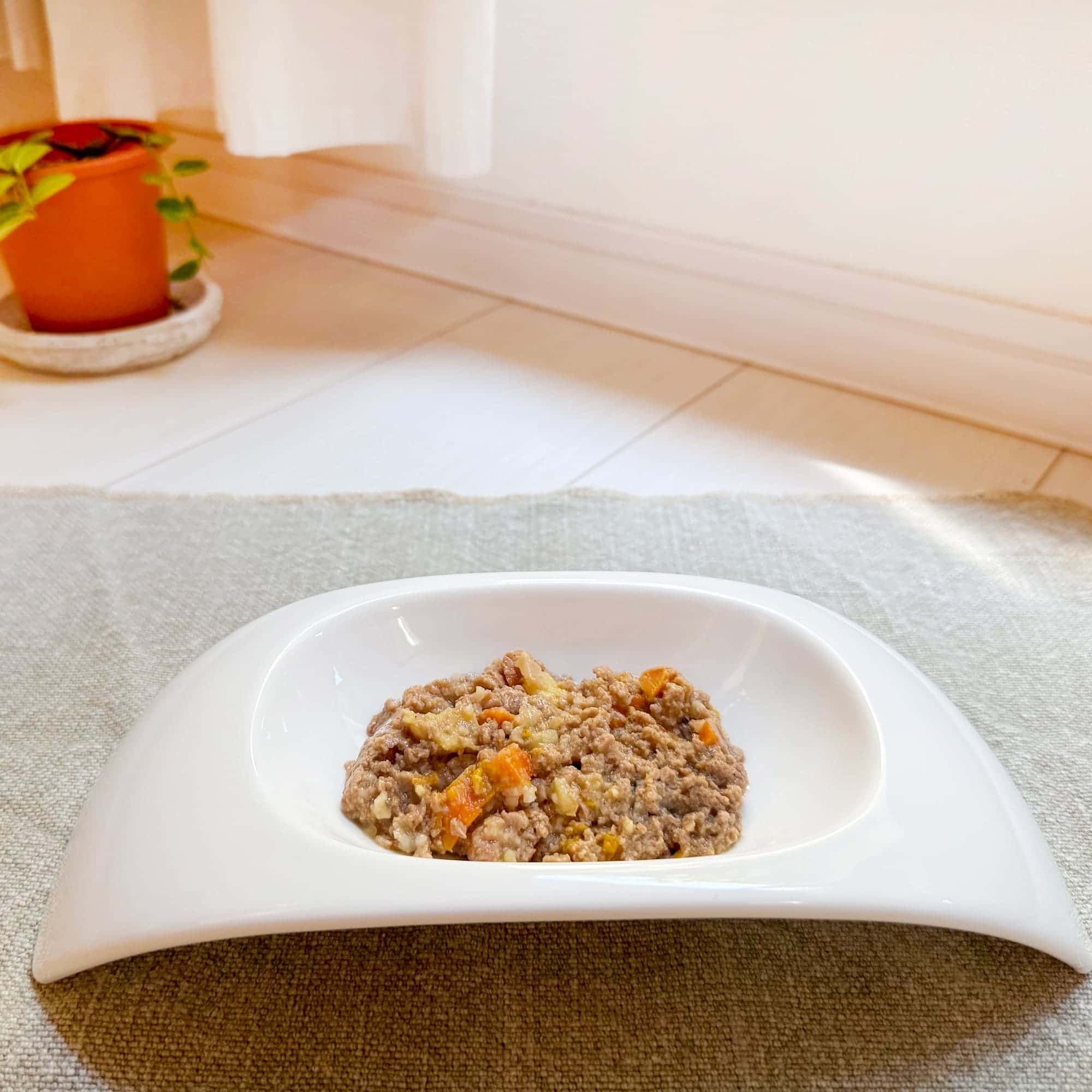 【ヤムヤムヤム! yum yum yum! 】犬用フード ハイシニア 13+ チキン ウェットタイプ 400g(80g×5)