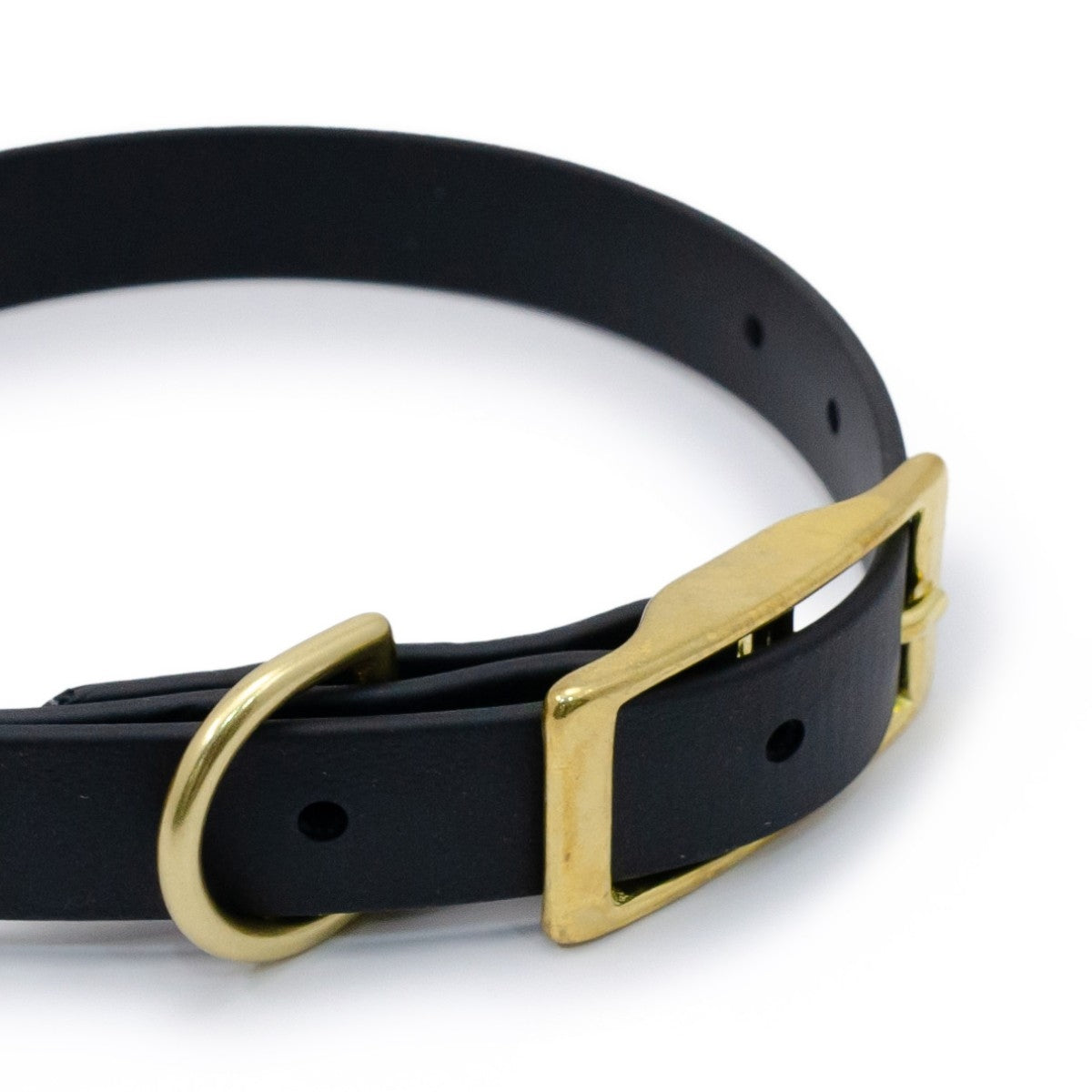 【HIGH TAIL HIKES ハイテールハイクス】首輪 1カラー ブラック S,Mサイズ