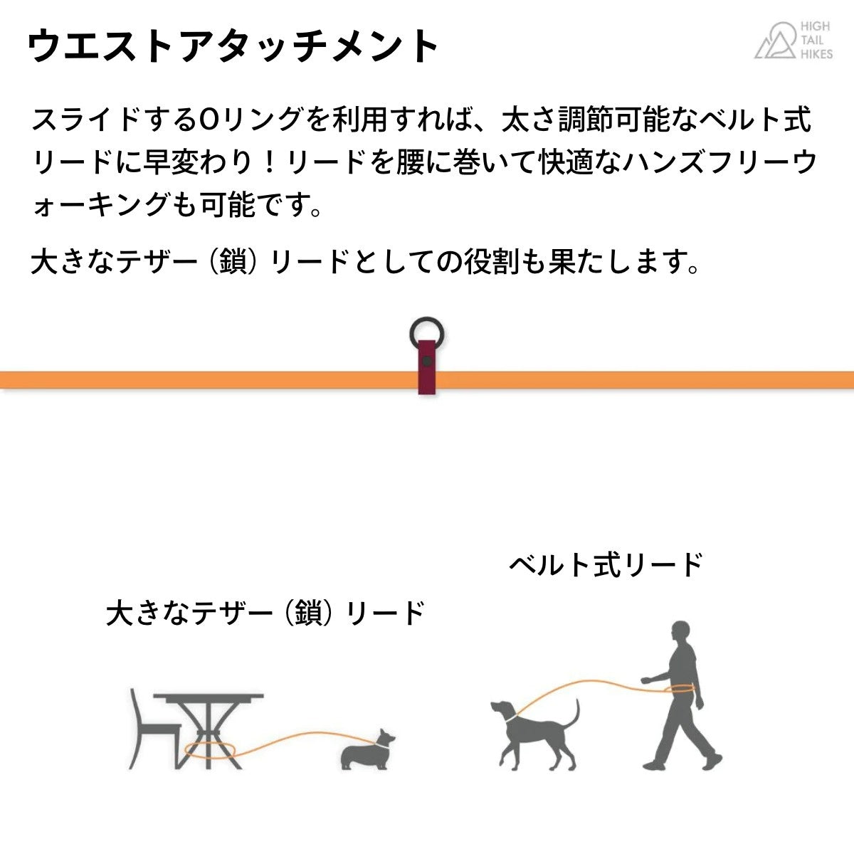 【HIGH TAIL HIKES ハイテールハイクス】コンバーチブル リード 1カラー コーラル Lサイズ