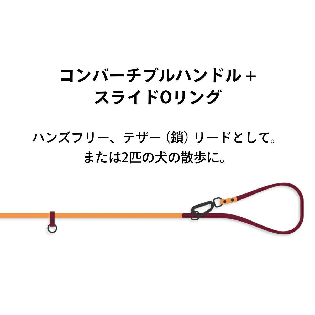 【HIGH TAIL HIKES ハイテールハイクス】コンバーチブル リード 1カラー コーラル Mサイズ