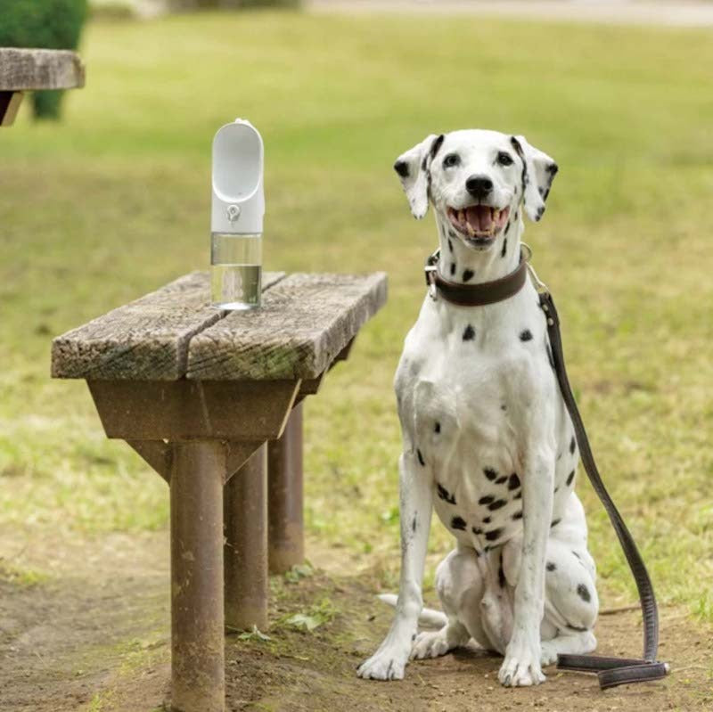 ウォーターボトル PETKIT ワンタッチ・ウォーターボトル 300ml ホワイト