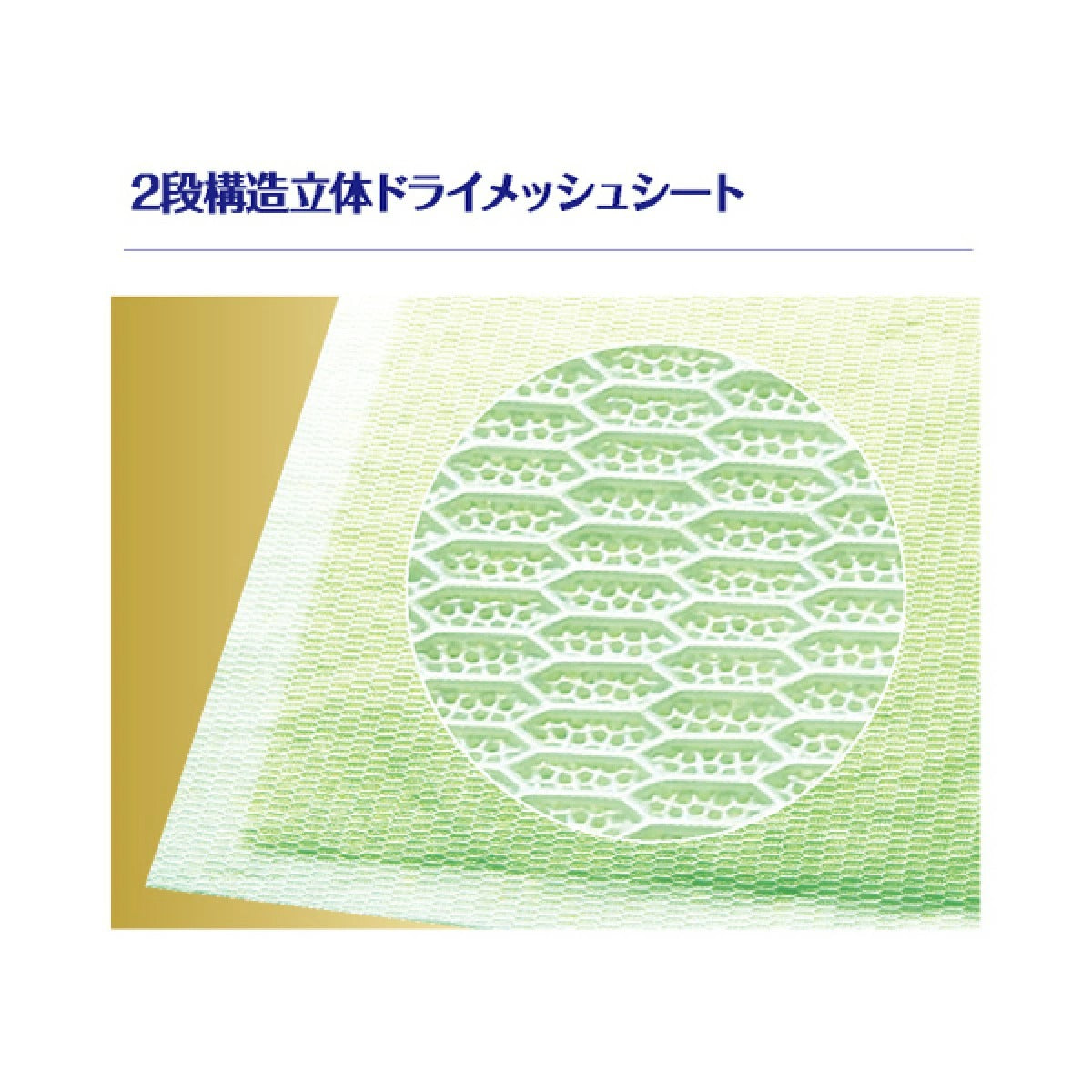 【ライオンペット】瞬乾ペットシート Salari(サラリ) レギュラー 50枚