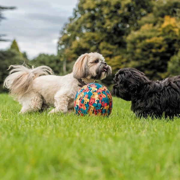 ふうせん ゴム風船カバー 犬用 PetBloon ペット・ブルーン ドッグ・バルーン
