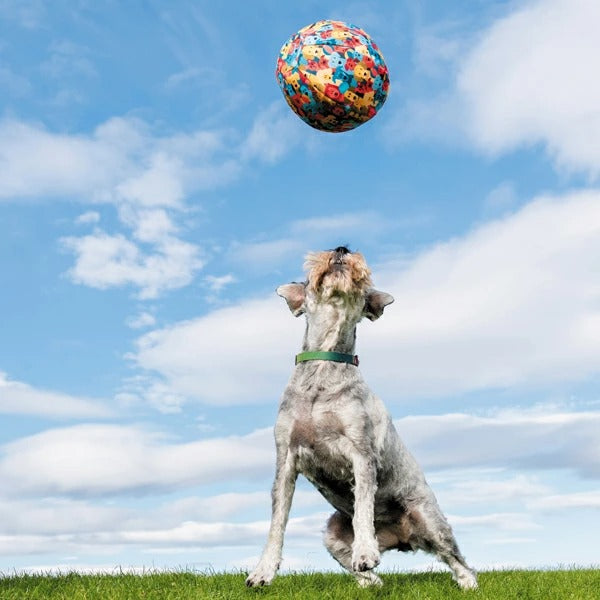 ふうせん ゴム風船カバー 犬用 PetBloon ペット・ブルーン ドッグ・バルーン