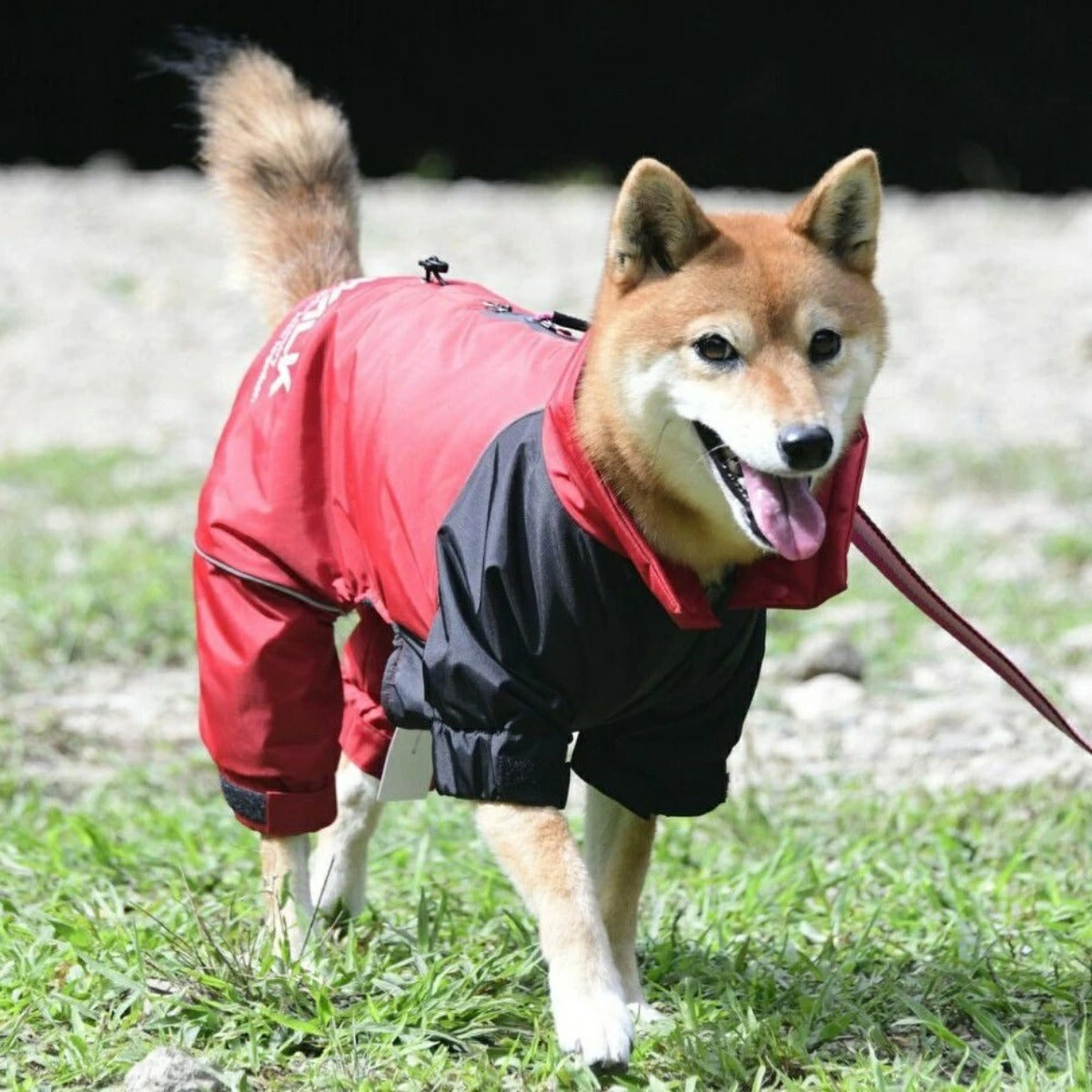 【GEWALK ジウォーク】2025年モデル ドリズル サーマル オーバーオール M Lサイズ 中型犬 撥水加工 ドッグウェア