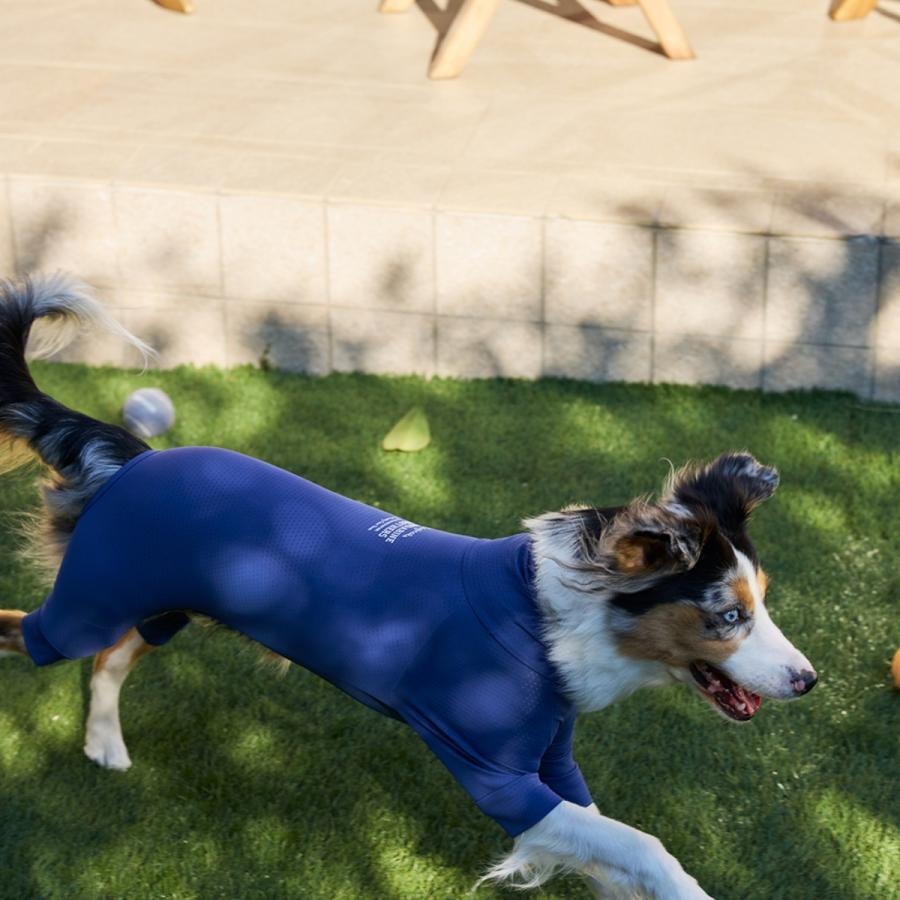 【MANDARINE BROTHERS マンダリンブラザーズ】インセクトシールド スキンタイトスーツ M,Lサイズ