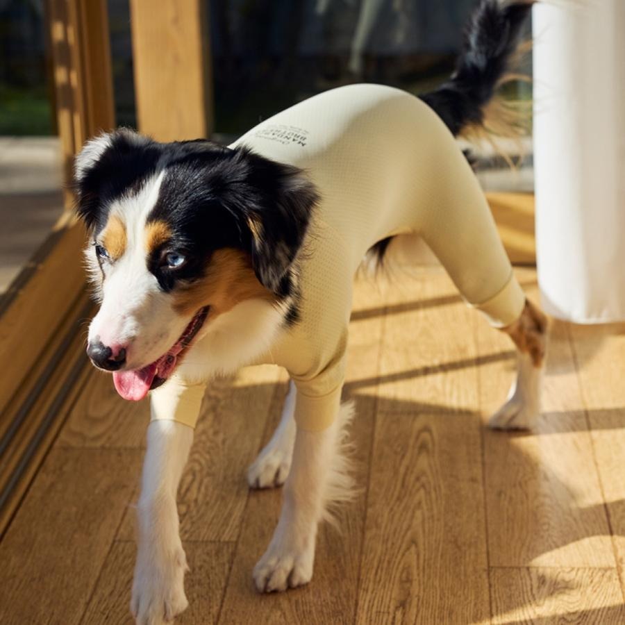 【MANDARINE BROTHERS マンダリンブラザーズ】インセクトシールド スキンタイトスーツ M,Lサイズ