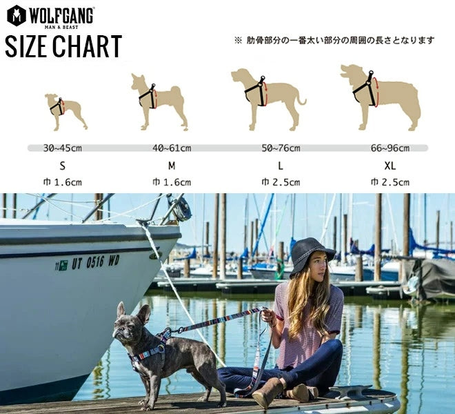 【WOLFGANG MAN & BEAST ウルフギャング マン&ビースト】ハーネス BigShock Lサイズ※在庫限りで終了※