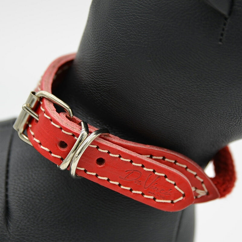 【Da Vinci ダヴィンチ】ビアンカコットンロープ カラー サイズ4