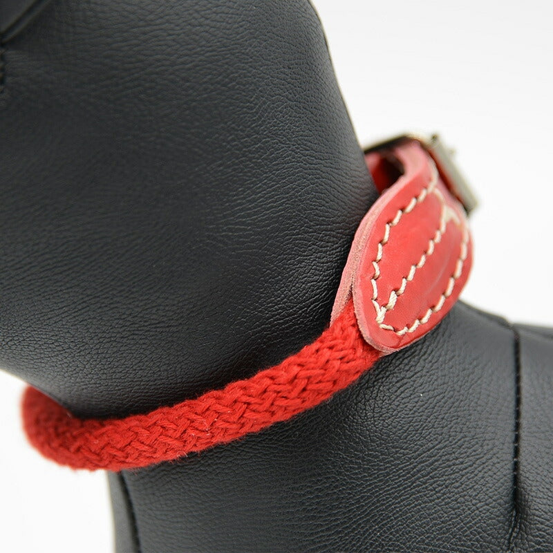 【Da Vinci ダヴィンチ】ビアンカコットンロープ カラー サイズ4