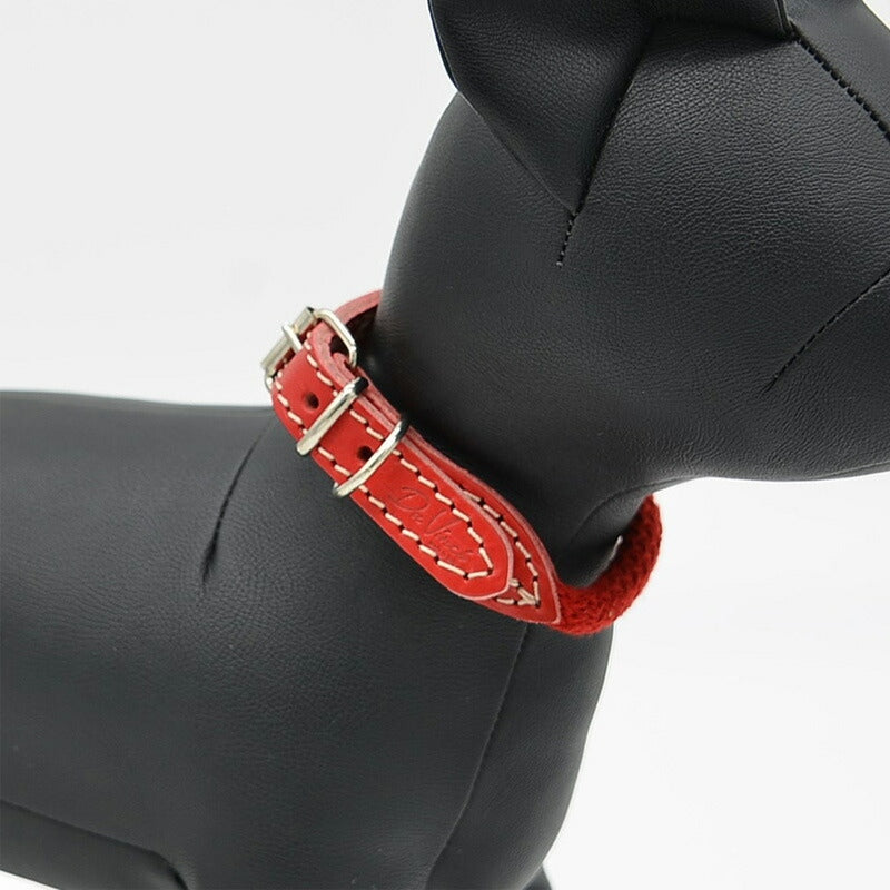 【Da Vinci ダヴィンチ】ビアンカコットンロープ カラー サイズ4