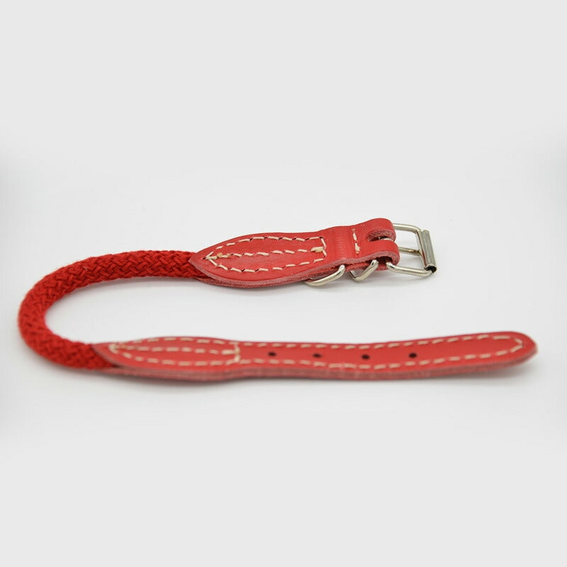 【Da Vinci ダヴィンチ】ビアンカコットンロープ カラー サイズ4