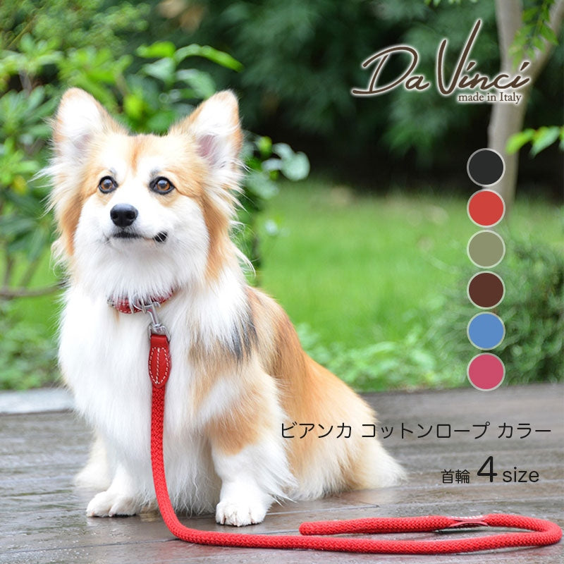 【Da Vinci ダヴィンチ】ビアンカコットンロープ カラー サイズ4