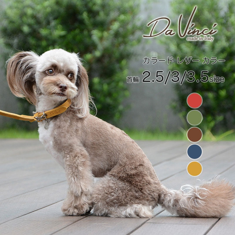 【Da Vinci ダヴィンチ】ペッレイングラッサカロラータ カラー サイズ2.5/3/3.5