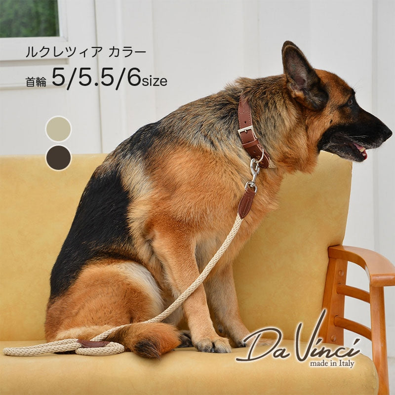 【Da Vinci ダヴィンチ】ルクレツァ カラー サイズ5/5.5/6