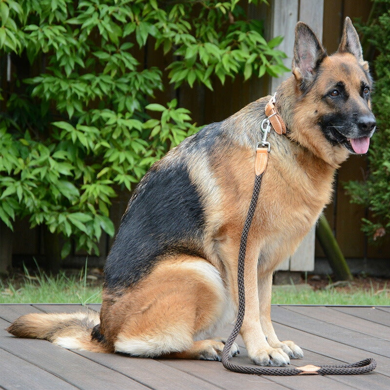 【Da Vinci ダヴィンチ】ルクレツァ カラー サイズ5/5.5/6