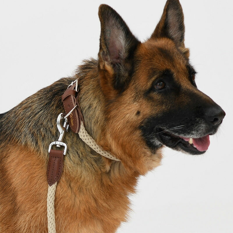 【Da Vinci ダヴィンチ】ルクレツァ カラー サイズ5/5.5/6