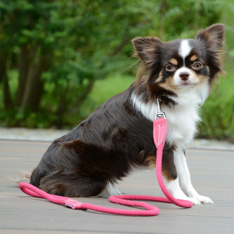 【Da Vinci ダヴィンチ】ビアンカコットンロープ リーシュ Sサイズ