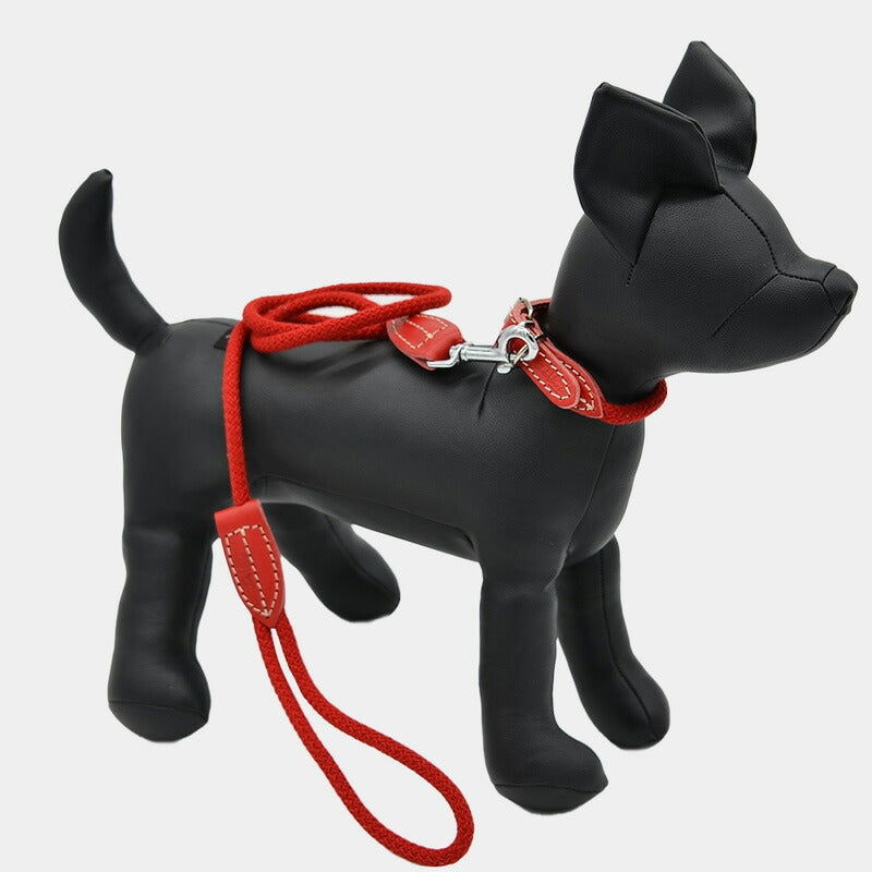 【Da Vinci ダヴィンチ】ビアンカコットンロープ リーシュ Lサイズ