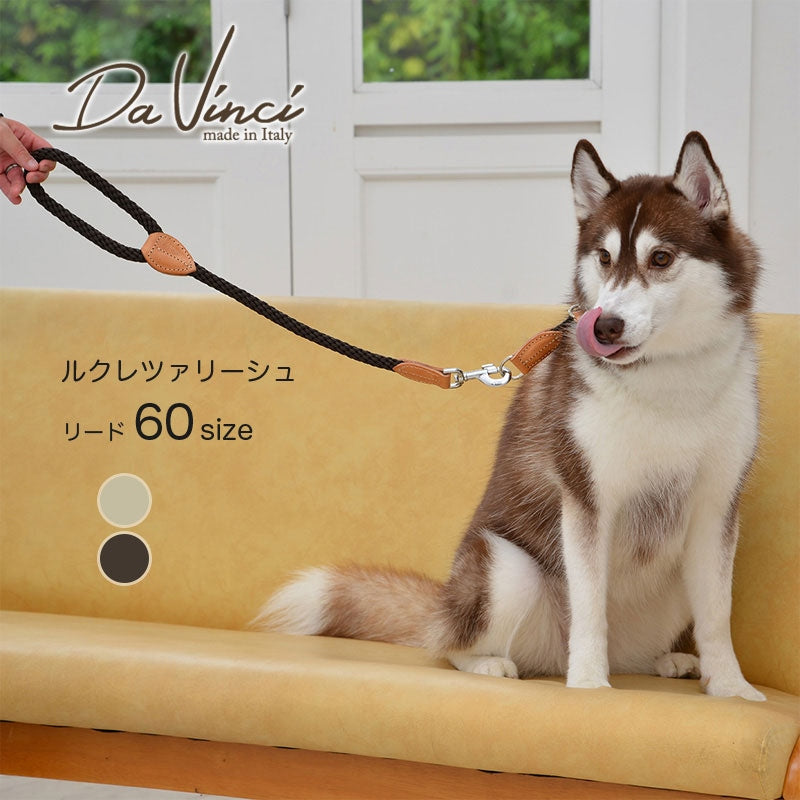 【Da Vinci ダヴィンチ】ルクレツァ リーシュ 60サイズ