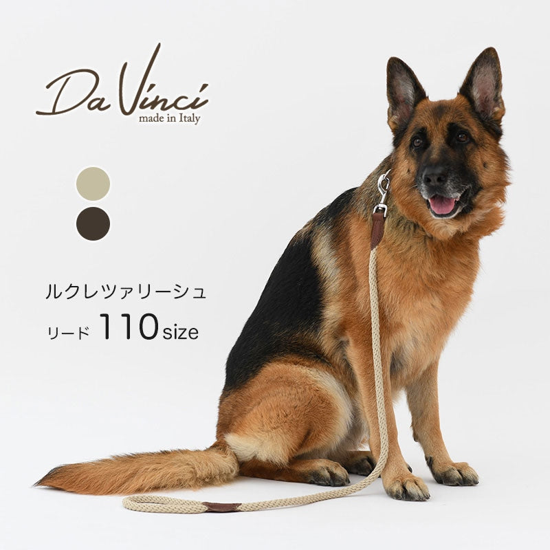 【Da Vinci ダヴィンチ】ルクレツァ リーシュ 110サイズ