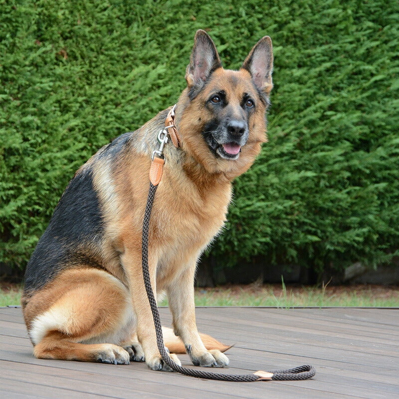 【Da Vinci ダヴィンチ】ルクレツァ リーシュ 110サイズ