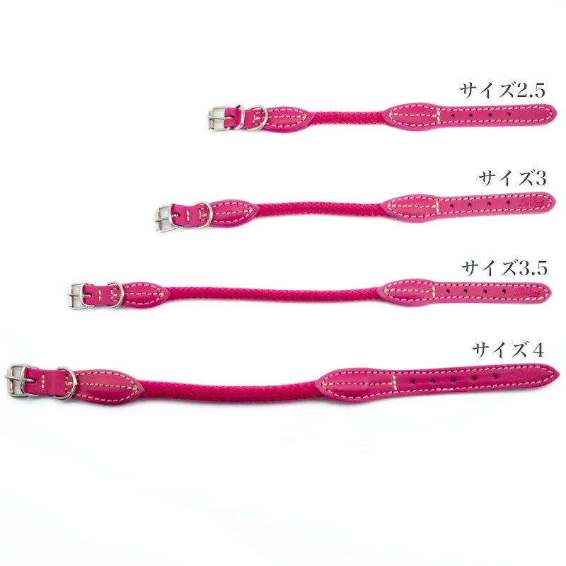 【Da Vinci ダヴィンチ】ビアンカコットンロープ カラー サイズ 2.5/3/3.5