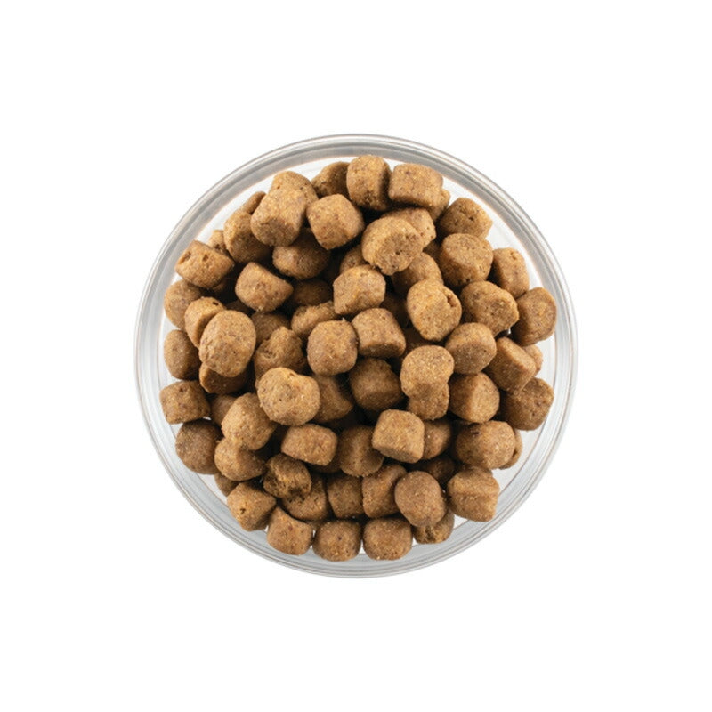 【NOW FRESH ナウ フレッシュ】グレインフリー アダルト / 2.72kg ターキー ドッグフード