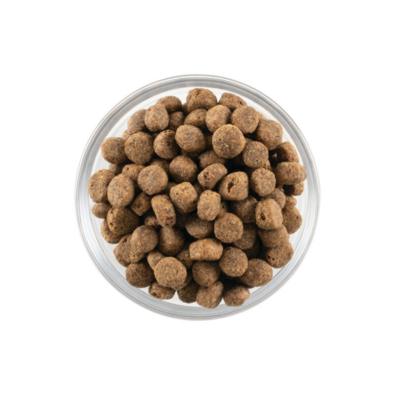 【NOW FRESH ナウ フレッシュ】グレインフリー シニア&ウェイトマネジメント / 2.72kg ターキー ドッグフード