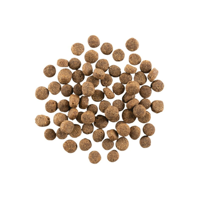 【NOW FRESH ナウ フレッシュ】グレインフリー シニア&ウェイトマネジメント / 2.72kg ターキー ドッグフード