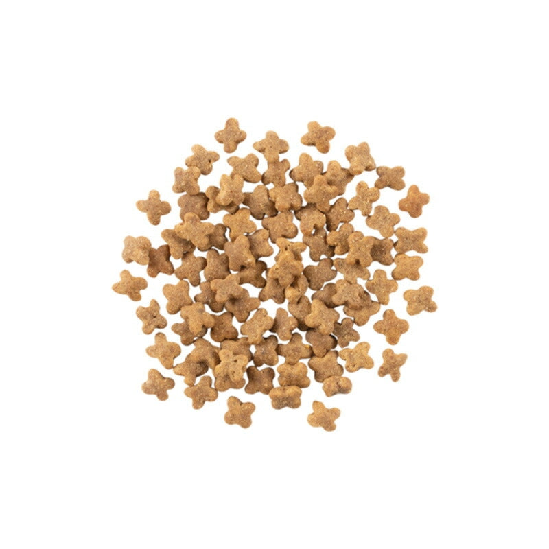 【NOW FRESH ナウ フレッシュ】グレインフリー スモールブリード(小粒)アダルト / 2.3kg ターキー ドッグフード