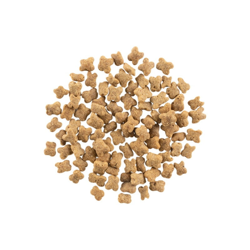 【NOW FRESH ナウ フレッシュ】グレインフリー スモールブリード(小粒) シニア&ウェイトマネジメント / 2.3kg ターキー ドッグフード