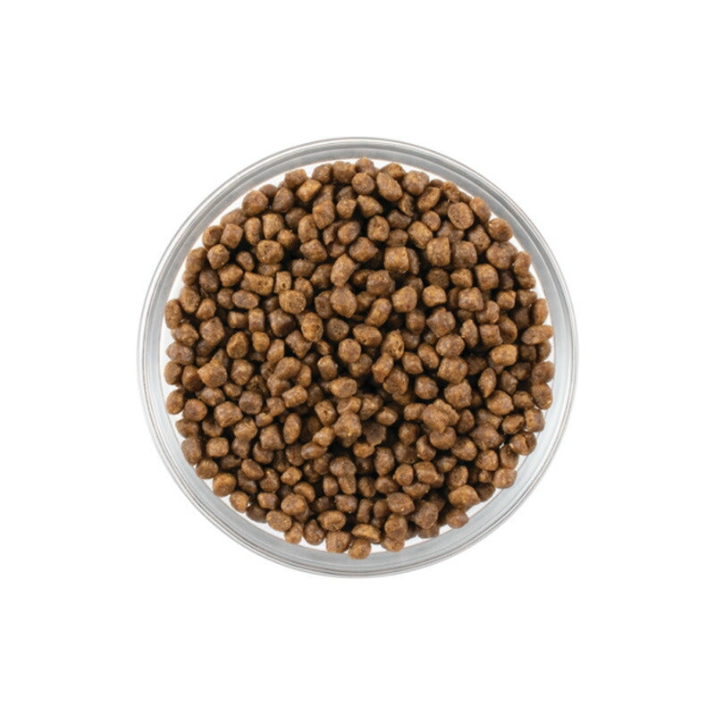 【NOW FRESH ナウ フレッシュ】グレインフリー キトン / 350g ターキー キャットフード