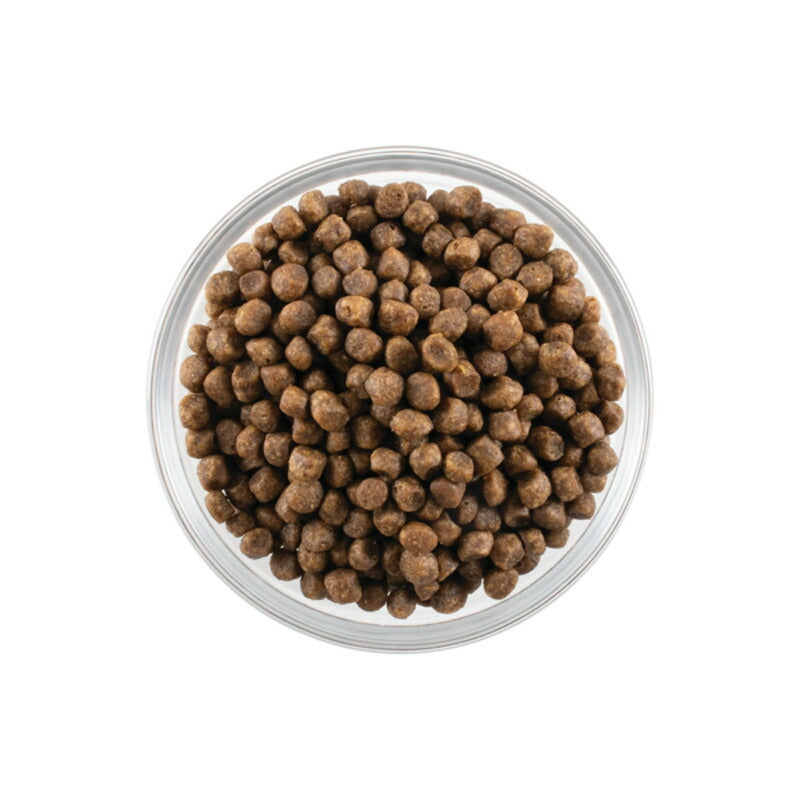 【NOW FRESH ナウ フレッシュ】グレインフリー アダルトキャット / 350g ターキー キャットフード