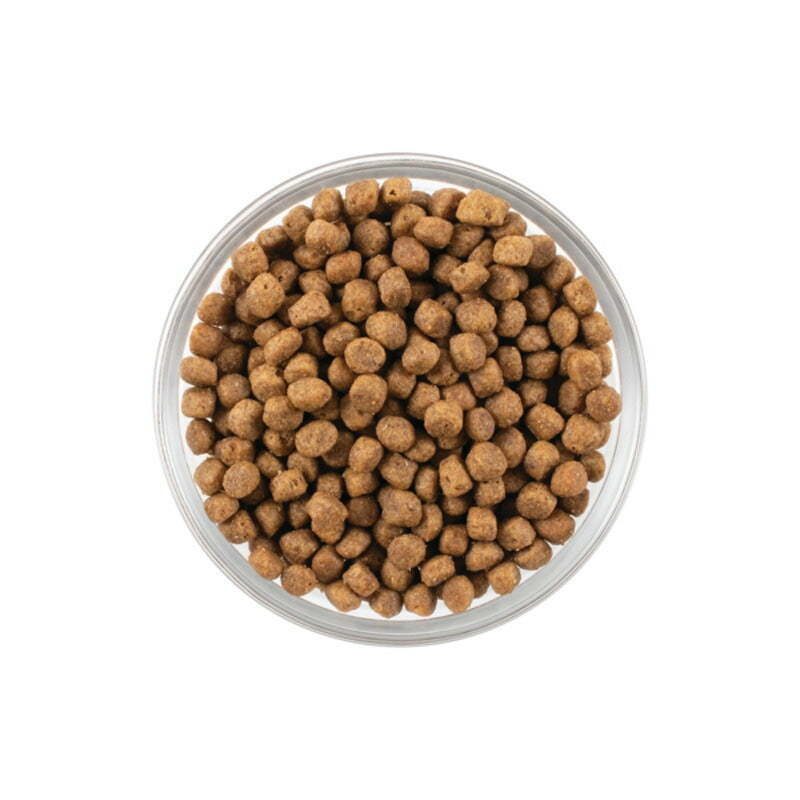 【NOW FRESH ナウ フレッシュ】グレインフリー フィッシュ アダルトキャット / 350g キャットフード