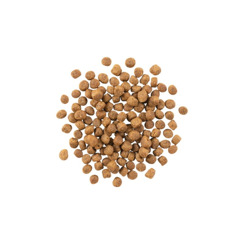 【NOW FRESH ナウ フレッシュ】グレインフリー フィッシュ アダルトキャット / 350g キャットフード