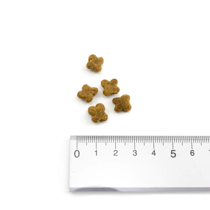 【NOW FRESH ナウ フレッシュ】グレインフリー スモールブリード(小粒)アダルト / 2.3kg ターキー ドッグフード