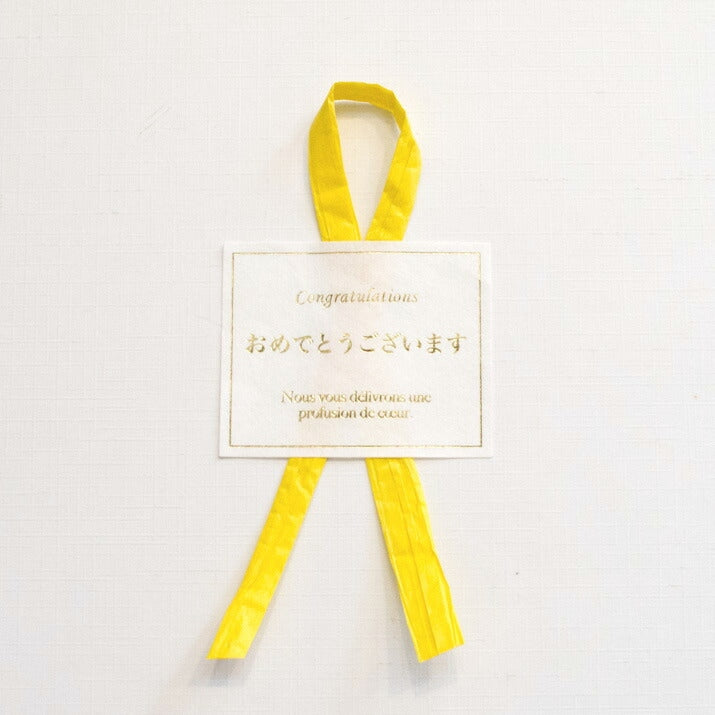 【moritaMiW】ハンカチギフト ラッピング付10枚セット モコモコドウブツハンカチ おめでとうございます