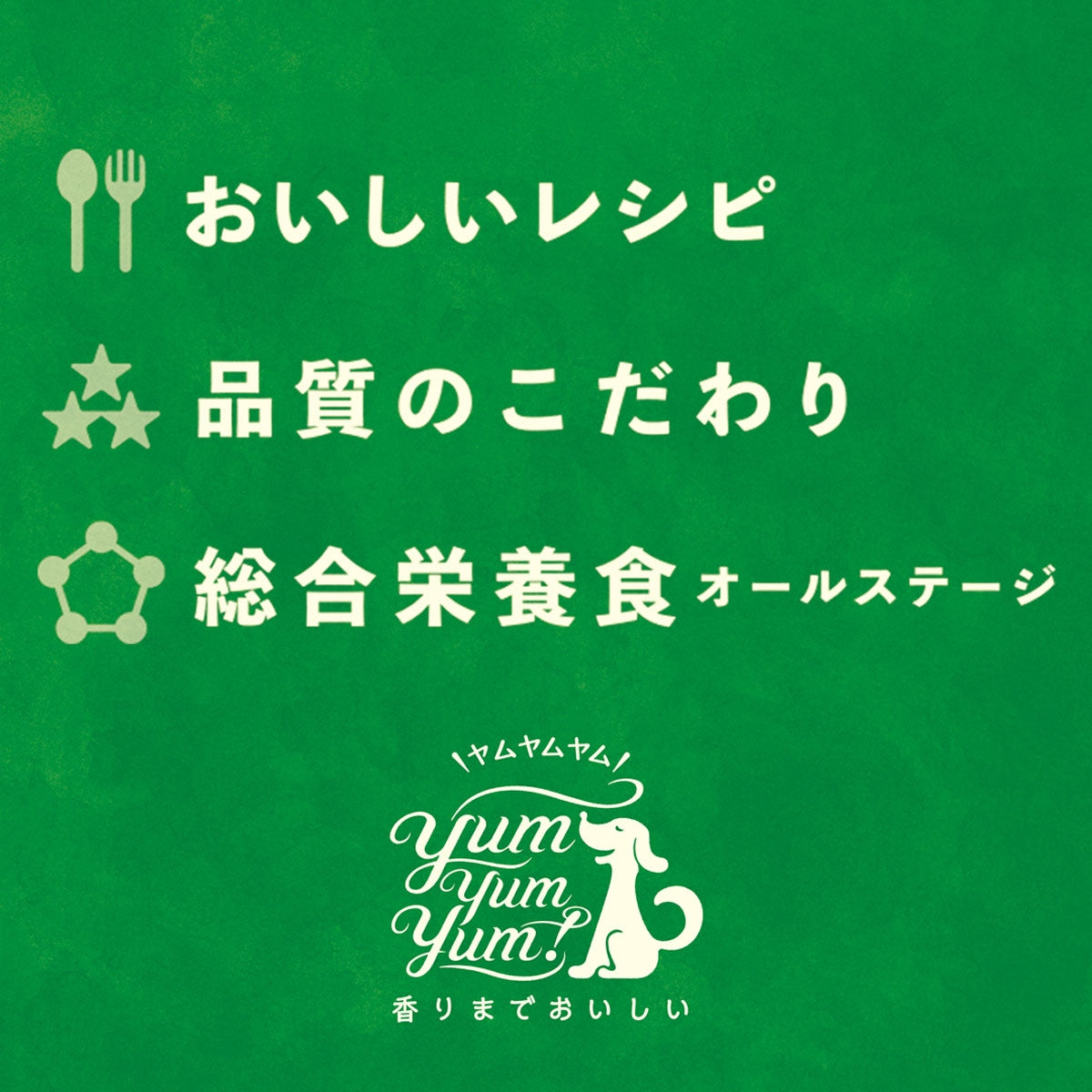 【ヤムヤムヤム! yum yum yum! 】犬用フード シニア&ライト チキン ドライタイプ 小粒タイプ 500g