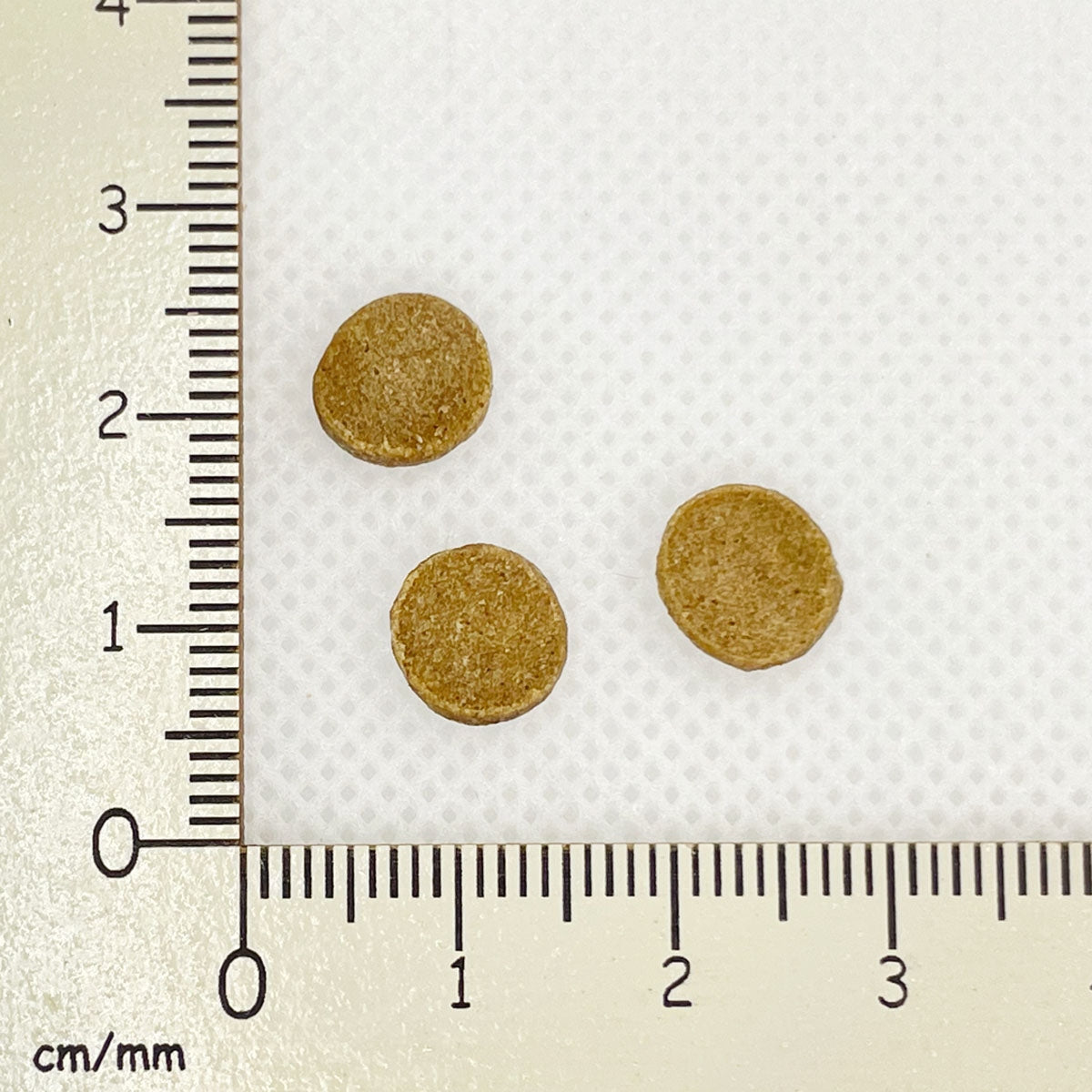 【ヤムヤムヤム! yum yum yum! 】犬用フード マグロ やわらかドライタイプ 小粒タイプ ちょこっとパック 80g