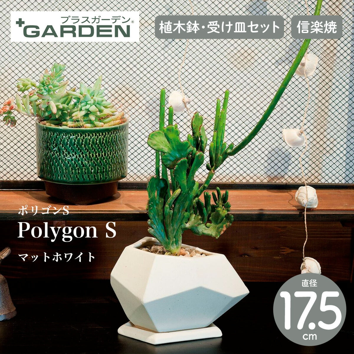 【PLUS GARDEN プラスガーデン】Polygon S ポリゴンS 直径17.5cm