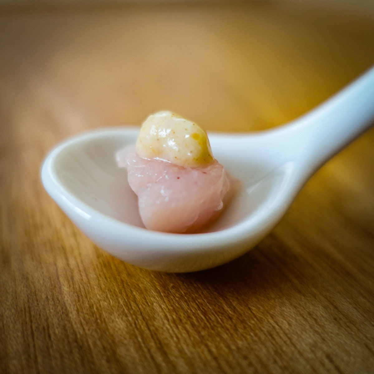 【ヤムヤムヤム! yum yum yum! 】犬用フード ふんわりソース仕立て チキン 60g(10g×6本)