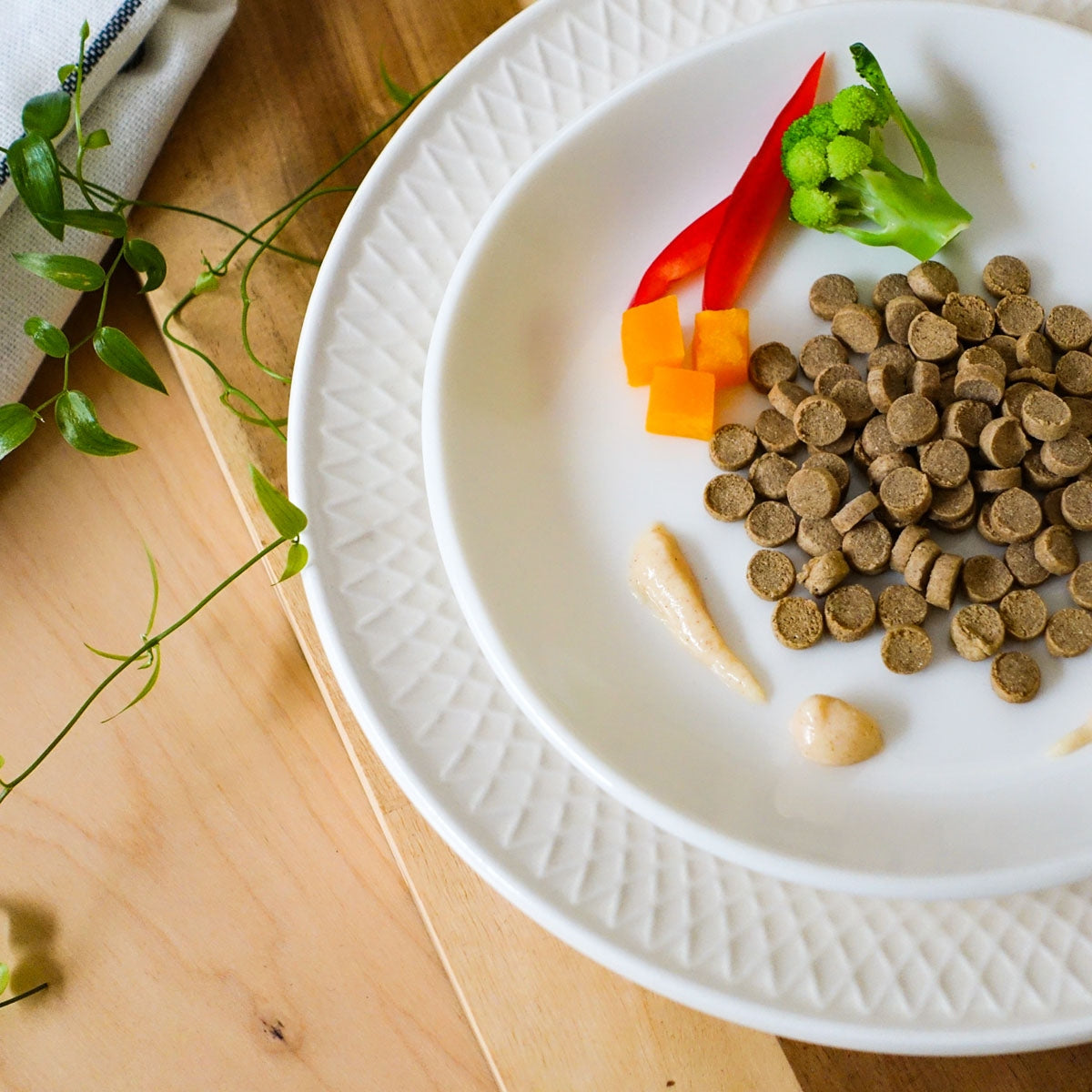 【ヤムヤムヤム! yum yum yum! 】犬用フード ふんわりソース仕立て チキン 60g(10g×6本)